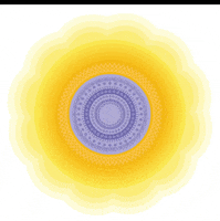 Zolem poderpersonal zolem proyectodevida liderazgoemprendedor GIF