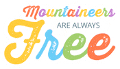 Gay Pride Rainbow Sticker