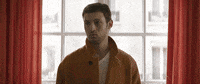 kinolorber synonyms tom mercier nadav lapid GIF