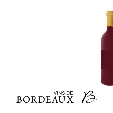 Happy New Year Cheers Sticker by Vins de Bordeaux