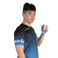 Red Bull Esports Sticker by mYinsanity