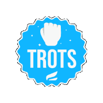 CSEtopsportacademie giphygifmaker cse zwolle cse topsportacademie cse trots Sticker