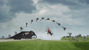 plane satisfying GIF