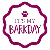 Happy Birthday Photography Sticker by puppytales