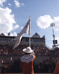Softball GIF by Texas Longhorns