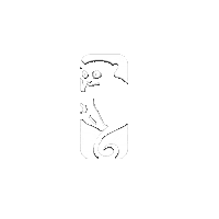Tarsier Sticker by Matar-Athletics