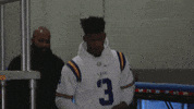 minnesota timberwolves lsu GIF by NBA