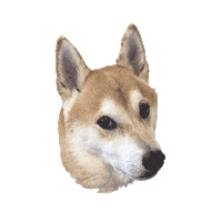 Knopf Start Here Sticker by knopfbooks