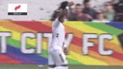South Carolina Dancing GIF by Charleston Battery