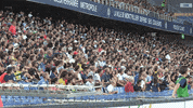 MHSC goal but montpellier mhsc GIF