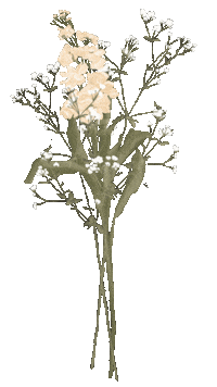 Flowers Flores Sticker by Leohestudio
