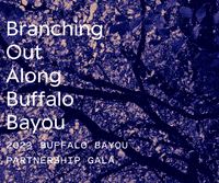 GIF by Buffalo Bayou Partnership