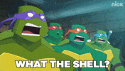 ninja turtles GIF by Teenage Mutant Ninja Turtles