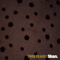 twin peaks GIF by Stan.