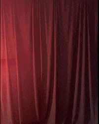Letsgopeay GIF by Austin Peay Athletics