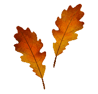 Fall Season Sticker by SoulRoboX s.r.l.