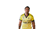 Sport Celebration Sticker by Stade Rochelais