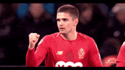 celebration goal GIF by Standard de Liège