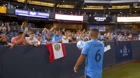 Major League Soccer Football GIF by NYCFC