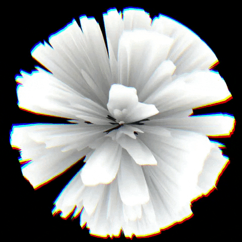 Art Morph GIF by Aleksey Efremov