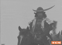Akira Kurosawa Japan GIF by Turner Classic Movies