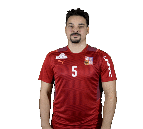 Florbal 2022 Sticker by Český florbal