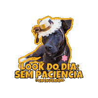 Dog Pet Sticker