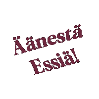 essilindberg kuntavaalit aluevaalit essi essilindberg Sticker