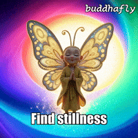 Peace Energy GIF by BuddhaFlyJourney