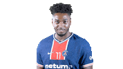 France Hello Sticker by Paris Saint-Germain Handball