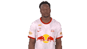Red Bull Sport Sticker by FC Red Bull Salzburg
