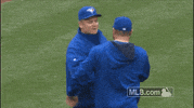 Toronto Blue Jays GIF by MLB