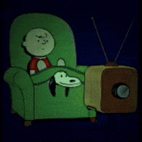 funny GIF by The Videobook