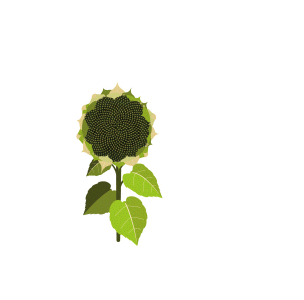 Girasol Igrowth Sticker by Advanta Semillas Argentina