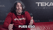 Castilla Y Leon Reaction GIF by Teka