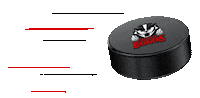 Hockey Brocku Sticker by Brock University