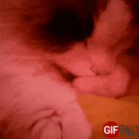 Thumb GIF