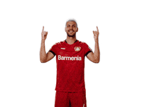 Swipe Up Bayer 04 GIF by Bayer 04 Leverkusen
