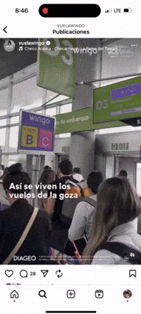 GIF by Wingo