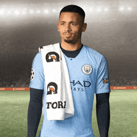 Manchester City GIF by Gatorade