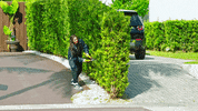Gdz GIF by Gente De Zona