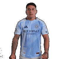 Mls Vamos Sticker by New York City FC