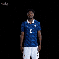 France Uefa GIF by Respective