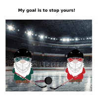 Sport Hockey GIF