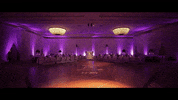 Dftw GIF by Switzerfilm