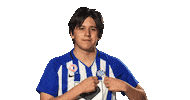 Esbjerg Efb Sticker by esuperliga