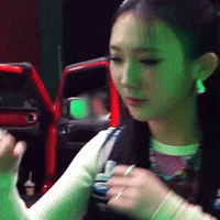 K Pop Fighting GIF