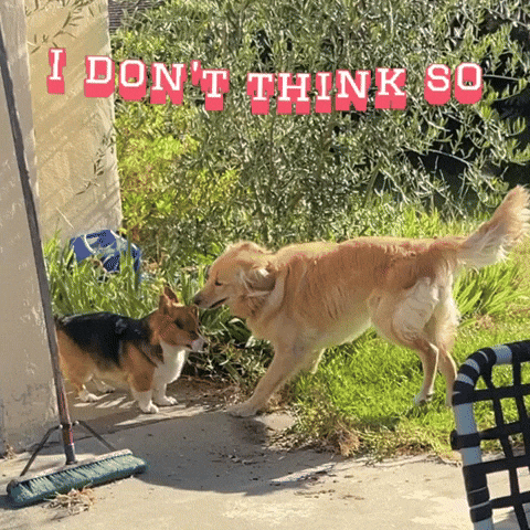 I Dont Think So GIF