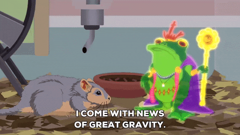 frog talking GIF by South Park 