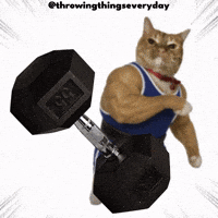 Gym Throwing GIF